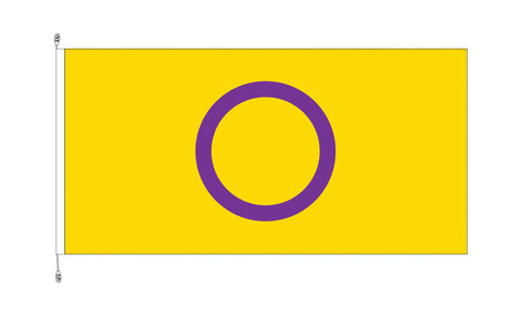 Intersex Horizontal Flag 1800x900mm