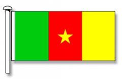 Cameroon Flag - Premium (with exclusive Swivel Clips).